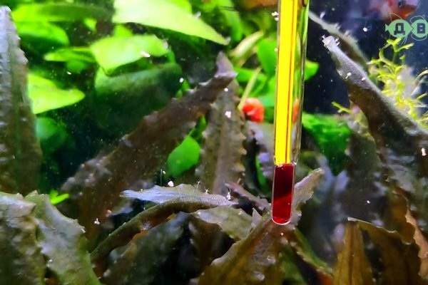 Кракен сайт тор ссылка