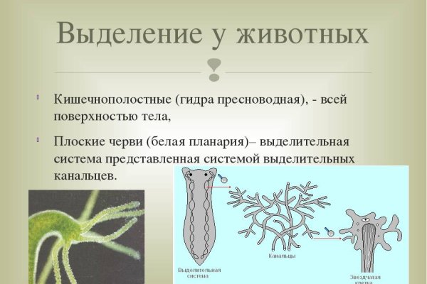 Сайт кракен через тор