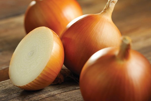 Kraken актуальное