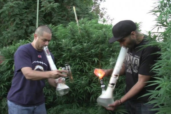 Kraken сайт магазин