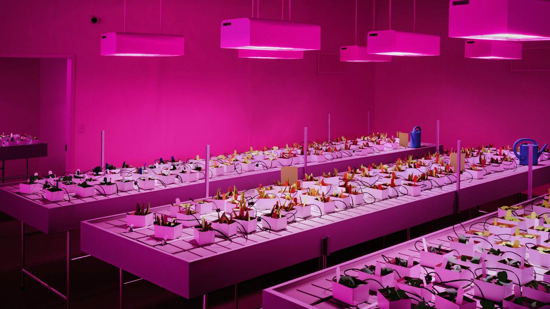 Кракен современный маркетплейс