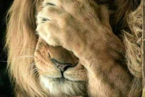 Гидра сайт в тор браузере ссылка