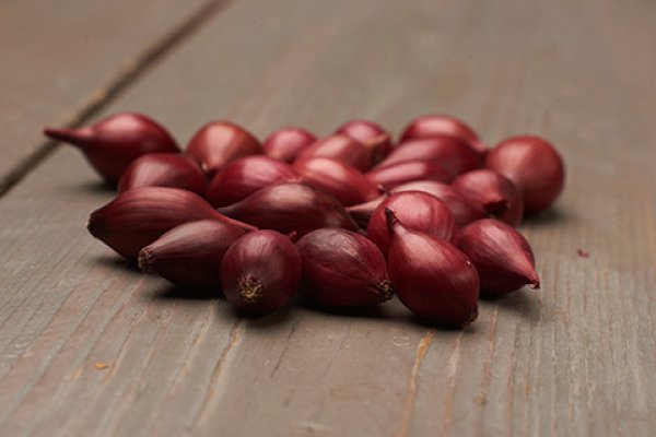 Официальная ссылка на кракен в тор