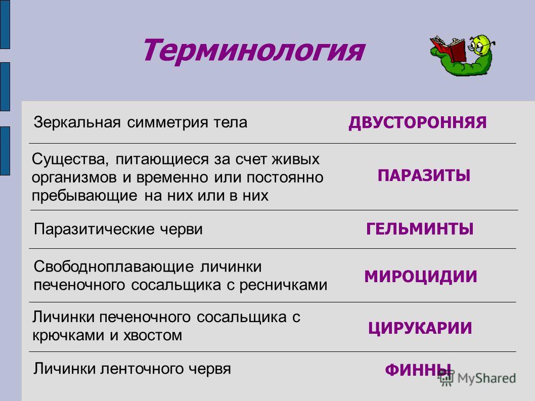 Оригинальная ссылка на кракен